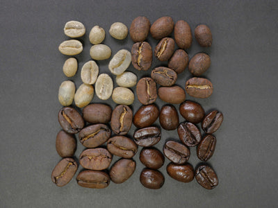 Light vs. Dark Coffee Beans