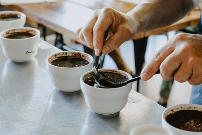 The Art of Coffee Tasting