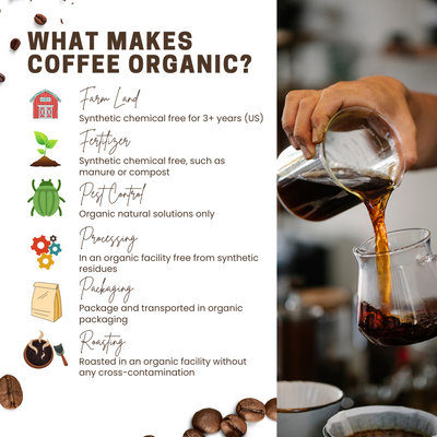 Demystifying Organic Coffee: What Makes It Special?
